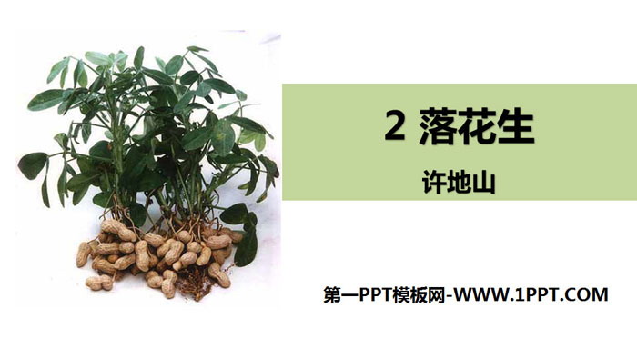 《落花生》PPT免费下载