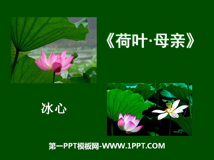 "Lotus Leaf·Mother" PPT