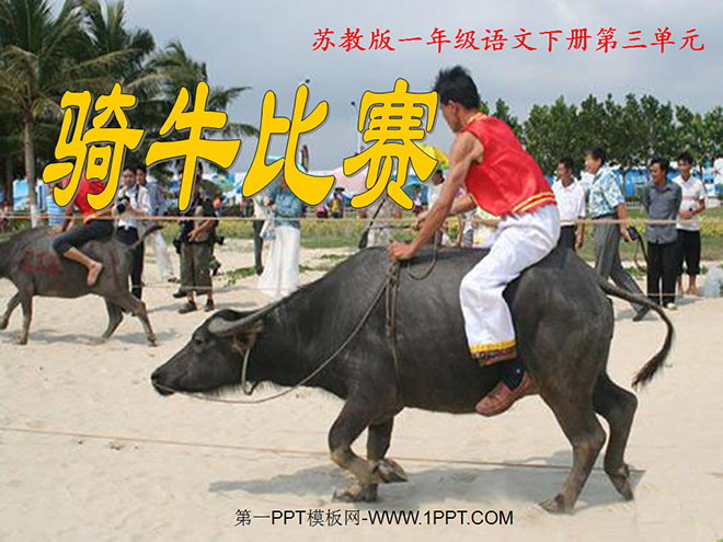 "Bull Riding Competition" PPT Courseware 2