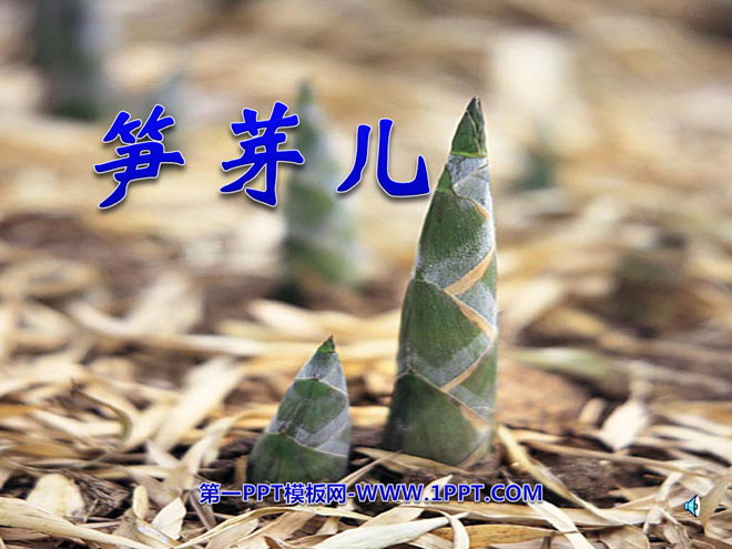 "Bamboo Shoots" PPT courseware 6
