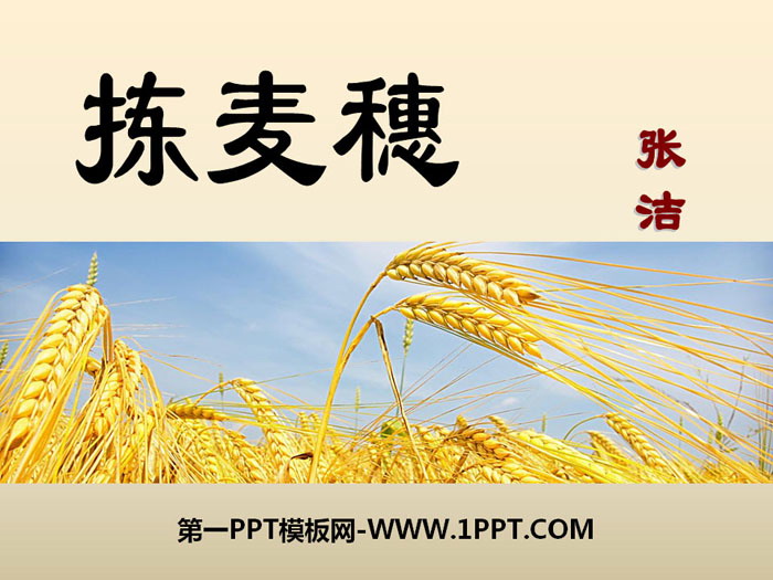 "Picking Wheat" PPT