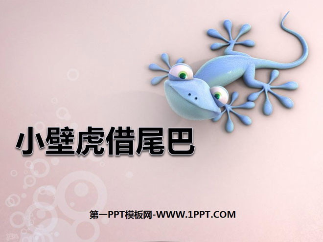 "Little Gecko Borrows Its Tail" PPT Courseware 8