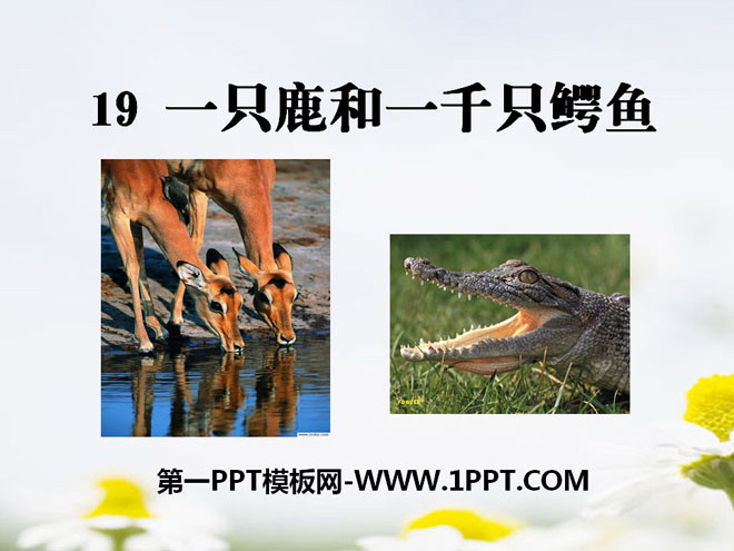 "A Deer and a Thousand Crocodiles" PPT Courseware 2