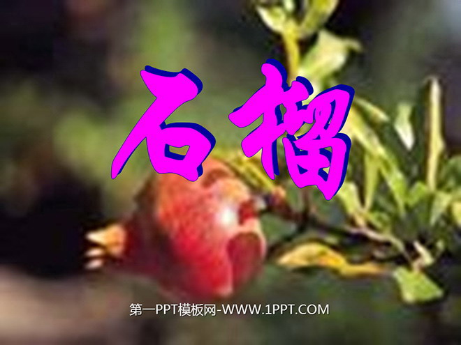 "Pomegranate" PPT courseware 2