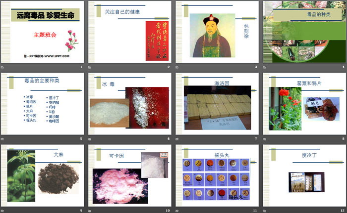 《远离毒品 珍爱生命》PPT
（2）