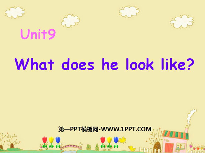 "What does he look like?" PPT courseware 6