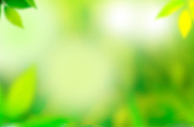 Yellow-green blurred plant PPT background image