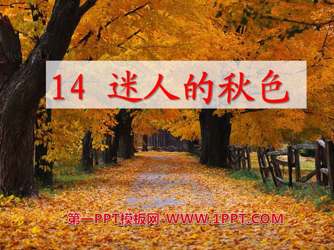 "Charming Autumn Colors" PPT courseware