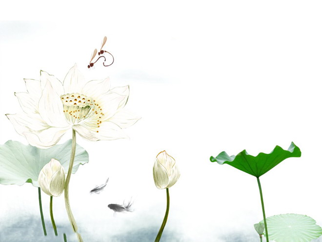 Ink lotus carp Chinese style PPT background picture