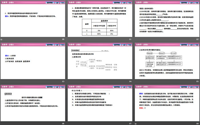 《种群基因组成的变化与物种的形成》生物的进化PPT下载（3）