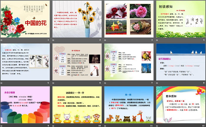 《中国的花》PPT
（2）