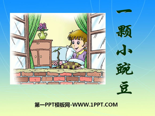 《一顆小碗豆》PPT課件3