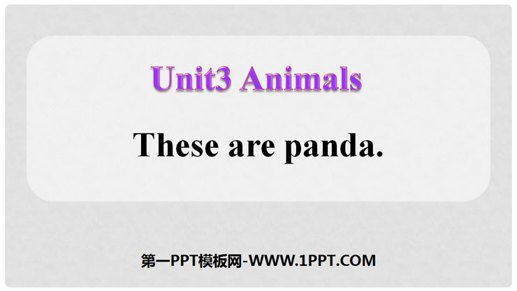 "These are pandas" Animals PPT courseware