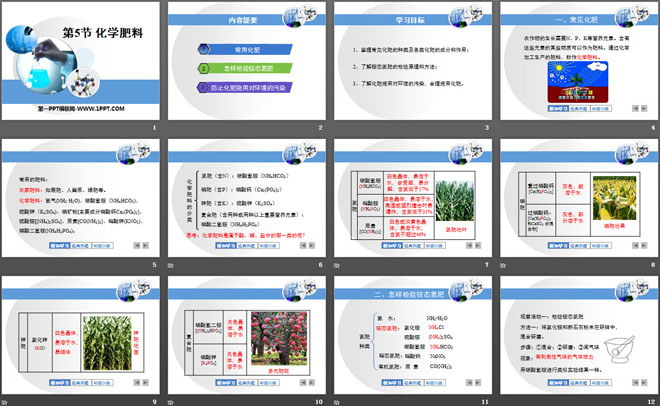 《化学肥料》常见的酸、碱、盐PPT课件2（2）