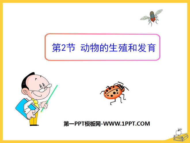 《动物的生殖和发育》PPT