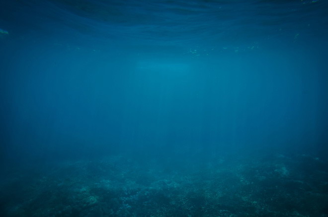 藍色海底世界簡潔PPT背景圖片