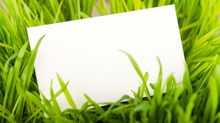 綠色植物草地白色卡片PPT背景圖片