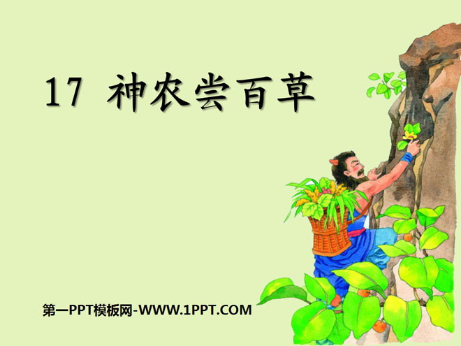 "Shen Nong tastes a hundred herbs" PPT courseware 2