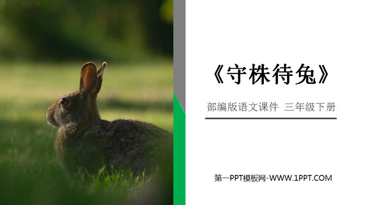 "Sit back and wait for the rabbit" PPT courseware free download