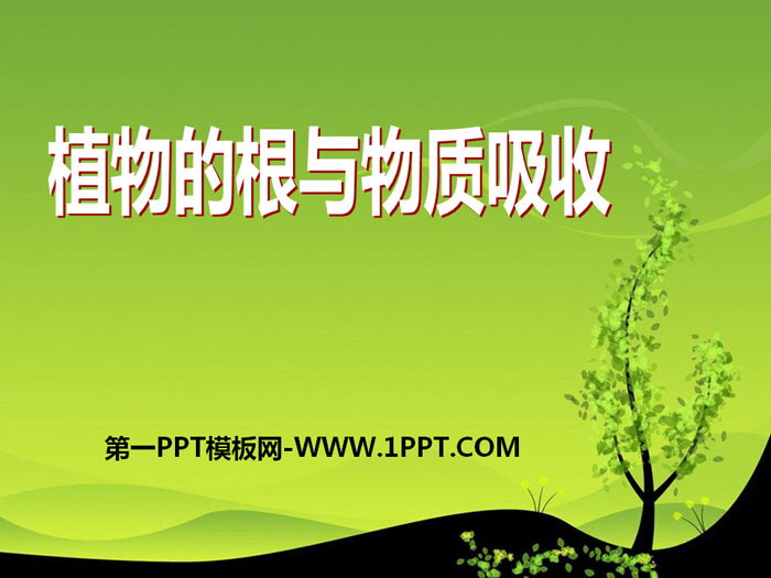 "Plant Roots and Material Absorption" PPT courseware