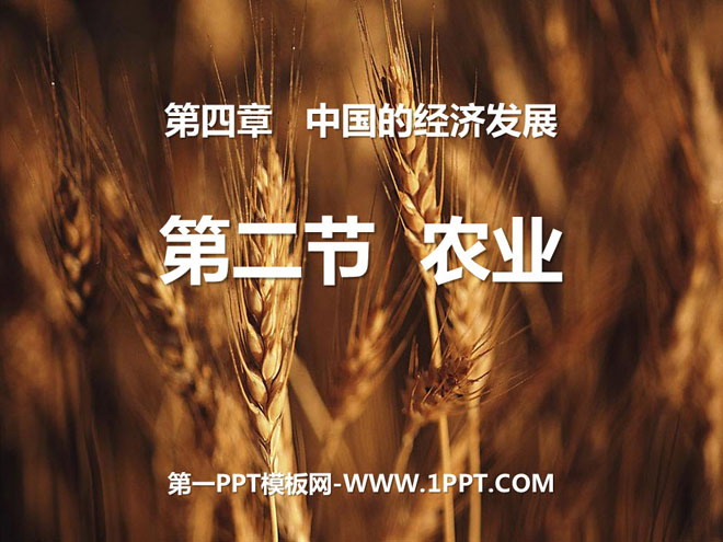 "Agriculture" China's Economic Development PPT Courseware