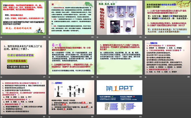 《植物的生殖方式》PPT课件（3）