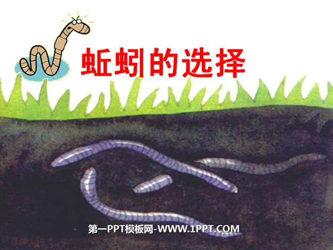 "The Choice of Earthworms" Biology and Environment PPT Courseware