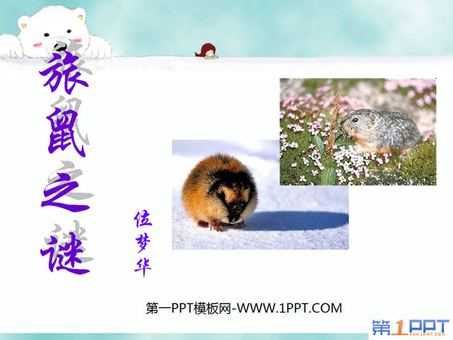 "The Mystery of Lemmings" PPT Courseware 5