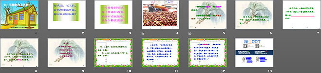 《小柳树和小枣树》PPT教学课件下载3（2）