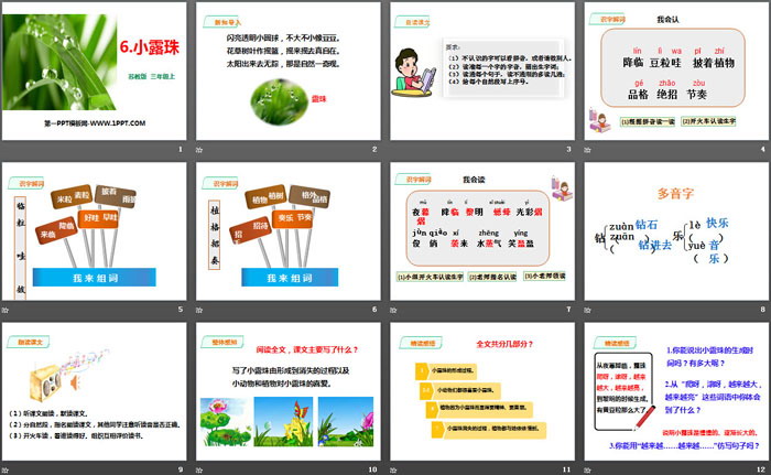 《小露珠》PPT（2）