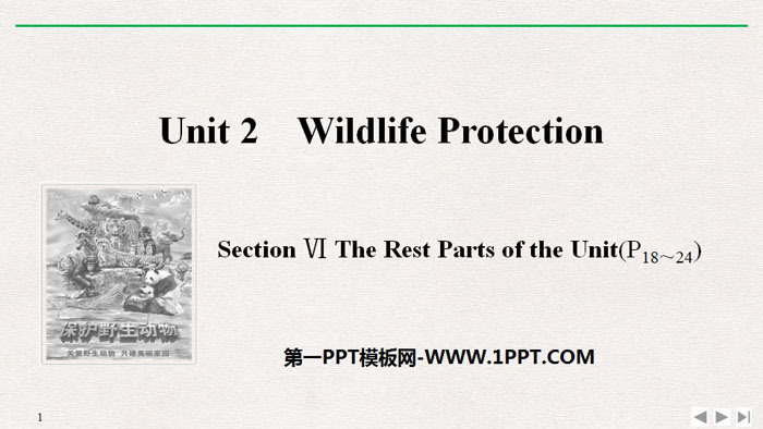 《Wildlife Protection》SectionⅥ PPT课件