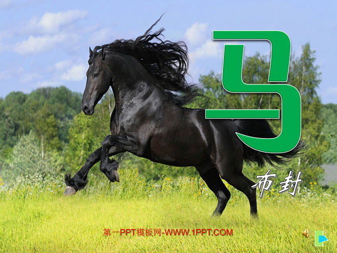 "Horse" PPT courseware