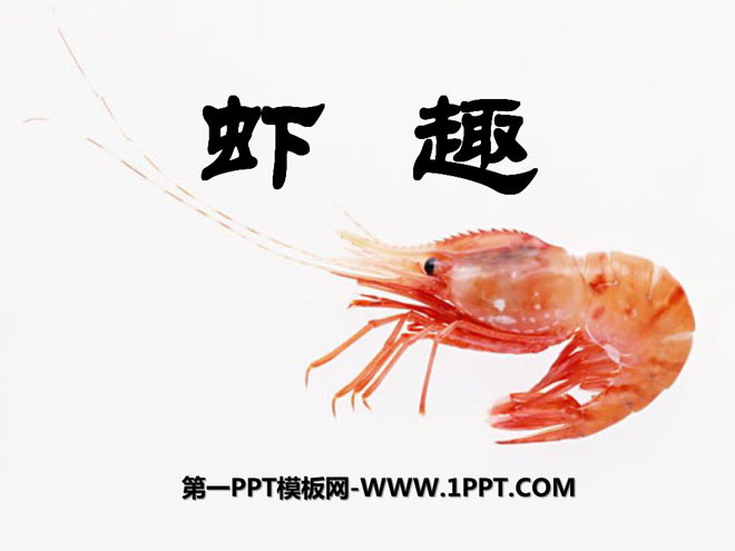 "Shrimp Fun" PPT courseware
