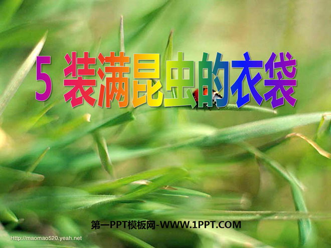 《装满昆虫的衣袋》PPT课件5
(1)