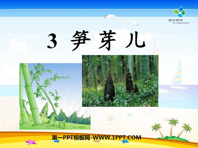 "Bamboo Shoots" PPT courseware 8