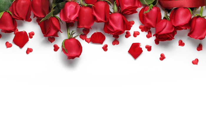 Five exquisite roses PPT background pictures