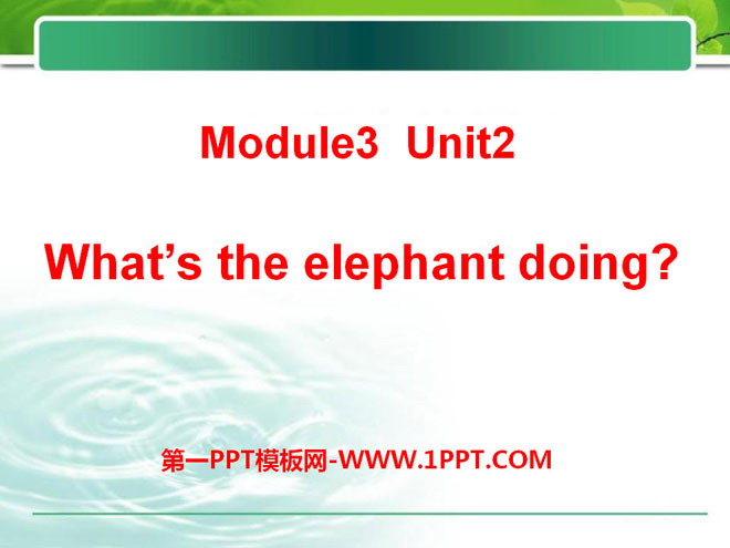 《What's the elephant doing?》PPT課件2