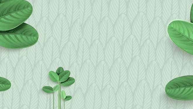 6 fresh green leaves PPT background pictures