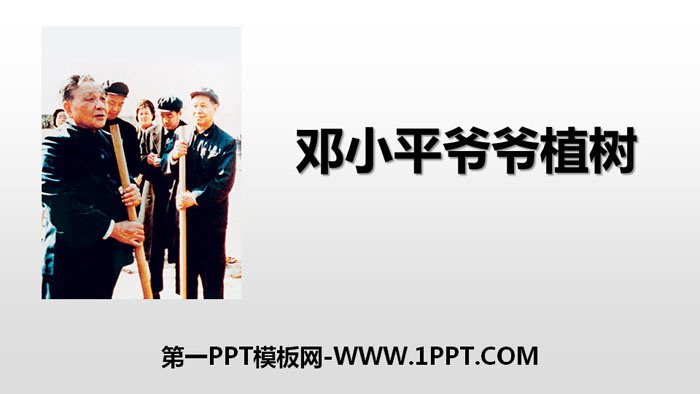 "Grandpa Deng Xiaoping Planting Trees" PPT free courseware