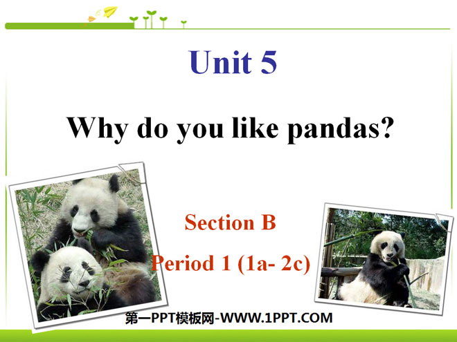 "Why do you like pandas?" PPT courseware 5