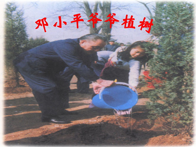 "Grandpa Deng Xiaoping Planting Trees" PPT courseware