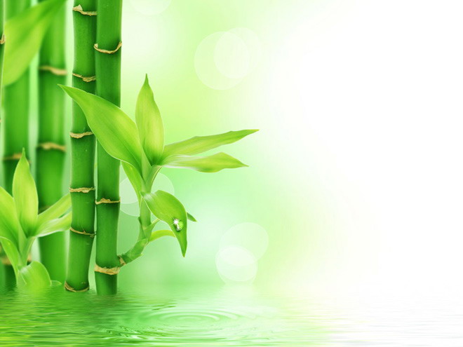 Fresh lake water bamboo leaves PPT background picture