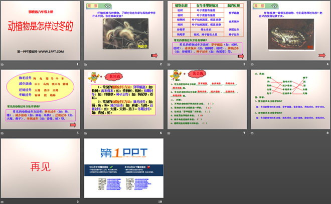 《动植物是怎样过冬的》四季中的变化PPT课件（2）