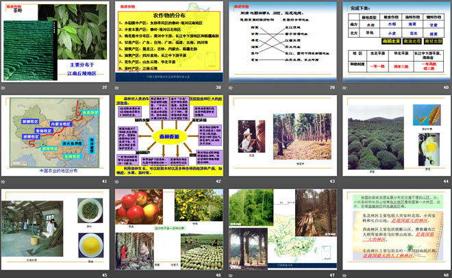 《农业的分布》PPT（5）