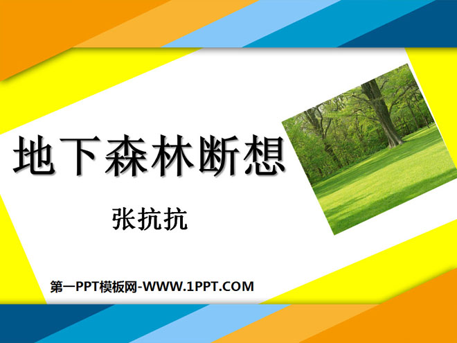 "Thoughts on the Underground Forest" PPT Courseware 4