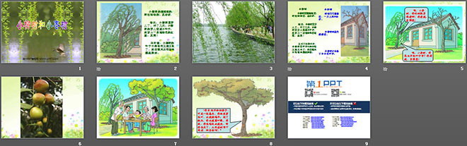 《小柳树和小枣树》PPT教学课件下载（2）