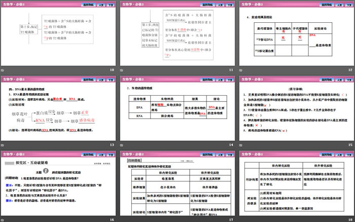 《DNA是主要的遗传物质》基因的本质PPT课件（3）