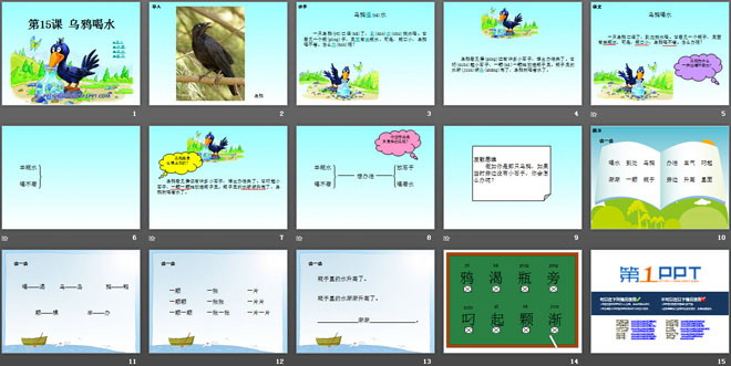 《乌鸦喝水》PPT课件13（2）