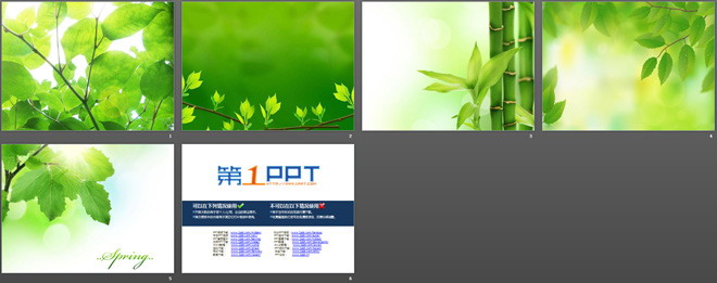 阳光枝叶植物PPT背景图片（2）