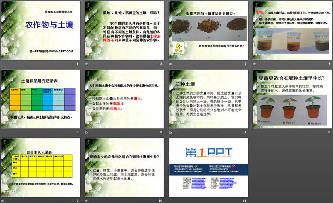 《农作物与土壤》农田PPT课件
（2）